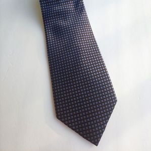 Pierre Cardin Blue/Black necktie